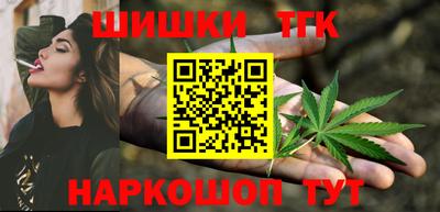 стафф Шелехов