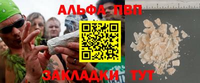 стафф Шелехов