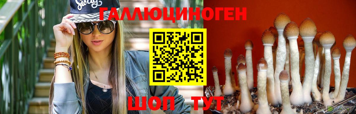 наркота  Псилоцибиновые грибы мицелий  Галлюциногенные грибы прущие грибы  Вход с VPN  Артёмовский 