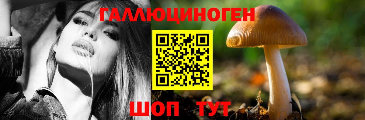 Псилоцибиновые грибы GOLDEN TEACHER Артёмовский